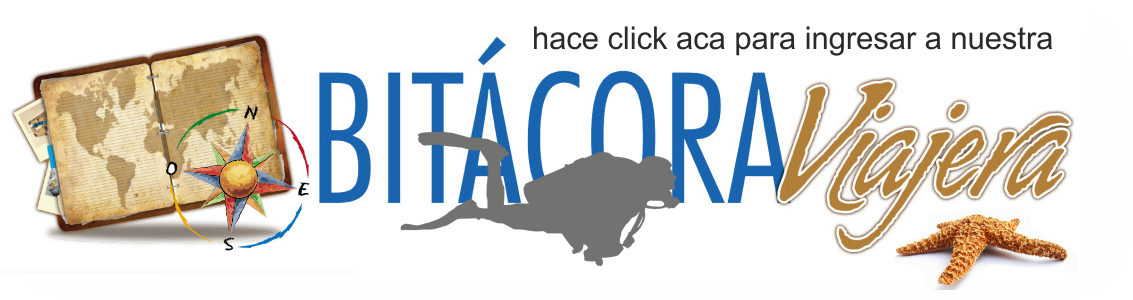 bitacora web