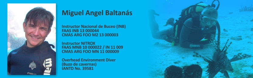 CV - Miguel